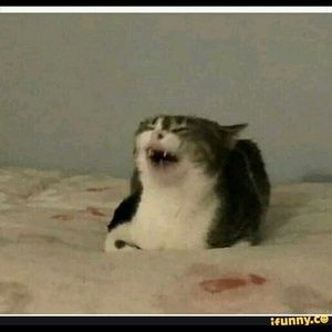 Meet your Posher, Osmar